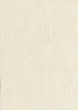 20036