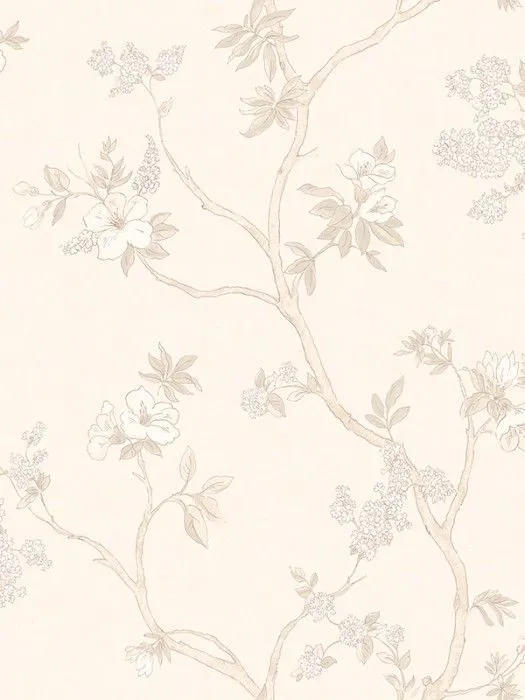 NP1 001-1