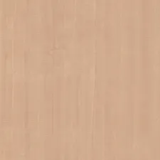 50319