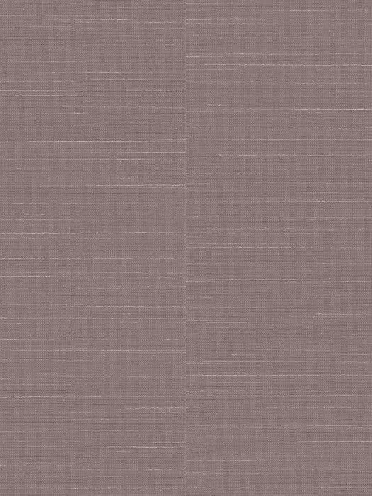 ABC7 010