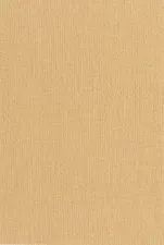 20031