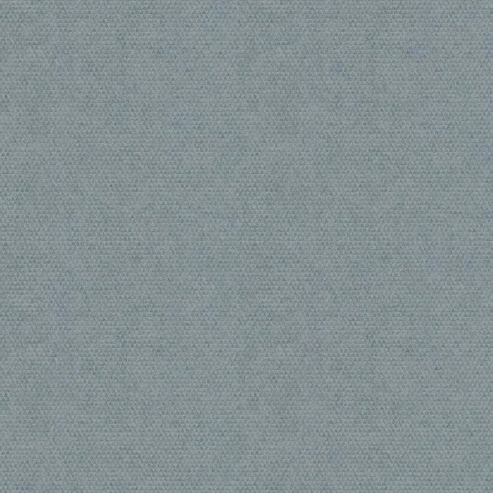 30069
