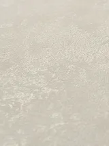 Pol283732_4