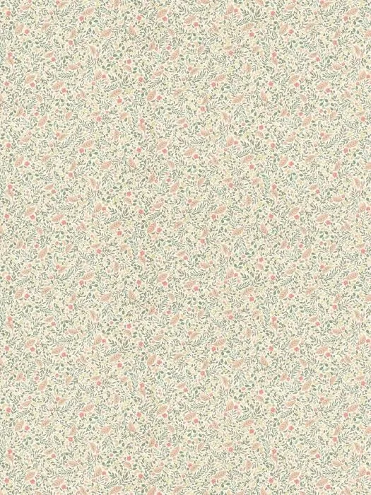 795011_2