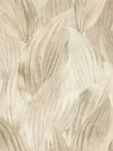 571554