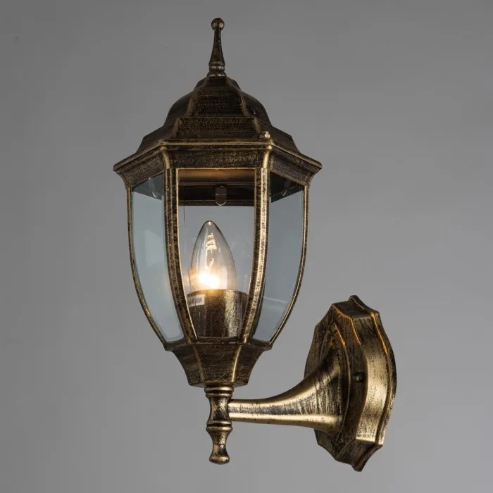 Уличный настенный светильник Arte Lamp PEGASUS A3151AL-1BN | Дом Декора