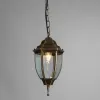 Уличный подвесной светильник Arte Lamp PEGASUS A3151SO-1BN | Дом Декора
