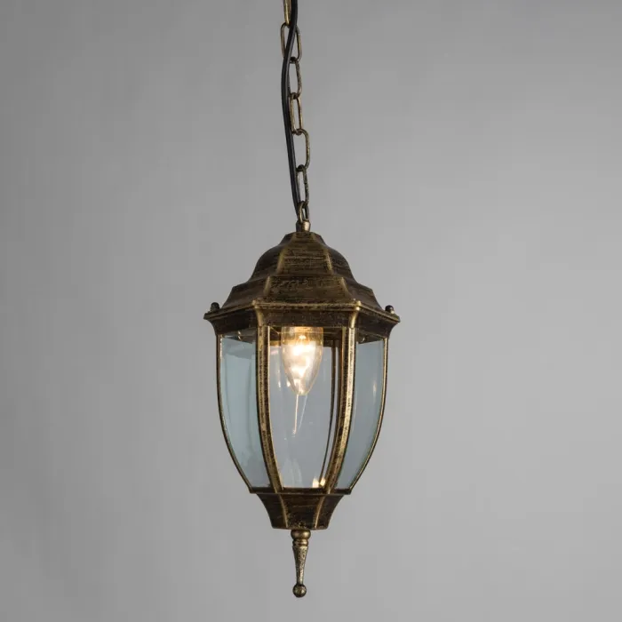 Уличный подвесной светильник Arte Lamp PEGASUS A3151SO-1BN | Дом Декора