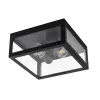Уличный потолочный светильник Arte Lamp BELFAST A4569PF-2BK | Дом Декора
