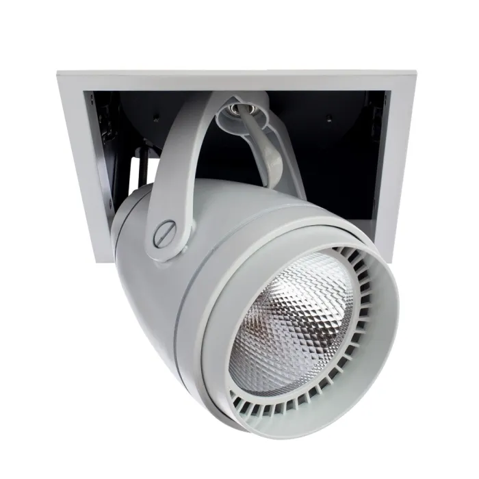 Спот Arte Lamp CARDANI A1618PL-1WH | Дом Декора