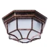 Уличный потолочный светильник Arte Lamp PEGASUS A3100PL-1AC | Дом Декора