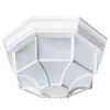 Уличный потолочный светильник Arte Lamp PEGASUS A3100PL-1WH | Дом Декора