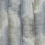 50031