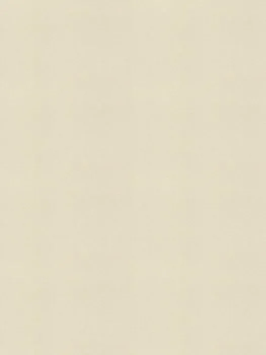 971361_1