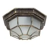 Уличный потолочный светильник Arte Lamp PEGASUS A3121PF-1BN | Дом Декора