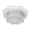 Уличный потолочный светильник Arte Lamp PEGASUS A3121PF-1WG | Дом Декора