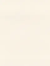 UI 1002