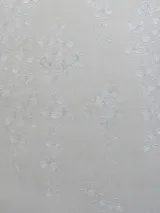 5080-1