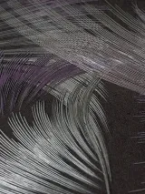 Pol283729_4