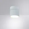 Спот Arte Lamp INTERCRUS A5549PL-1WH | Дом Декора