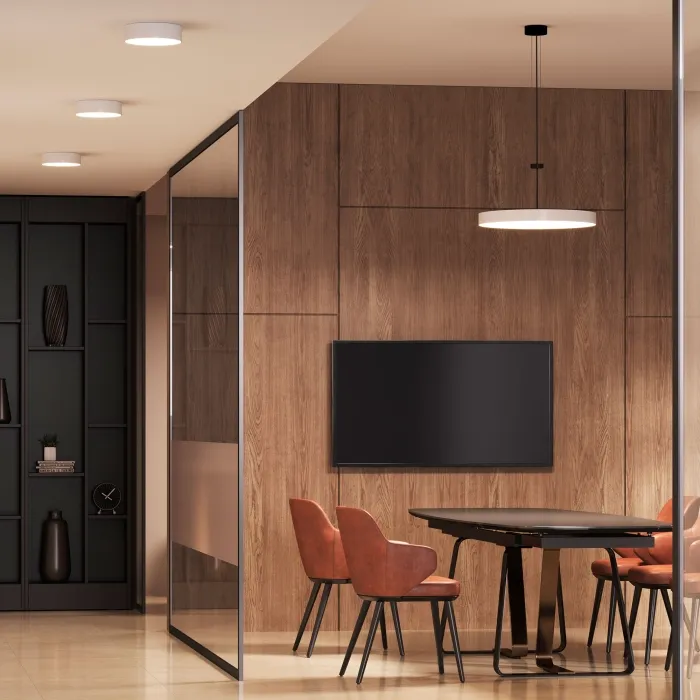 Потолочный светильник Arte Lamp FADO A6620PL-1WH | Дом Декора