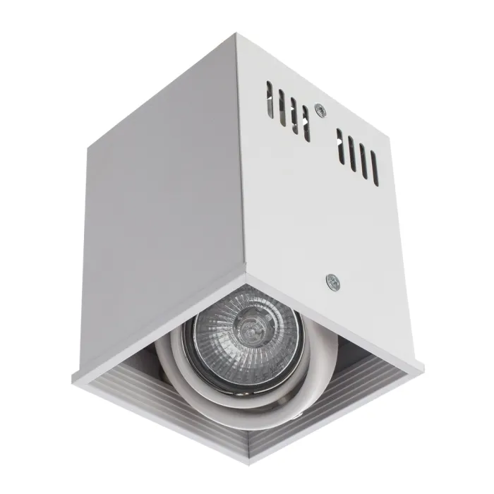 Точечный накладной светильник Arte Lamp CARDANI PICCOLO A5942PL-1WH | Дом Декора