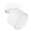 Спот Arte Lamp INTERCRUS A5549PL-1WH | Дом Декора