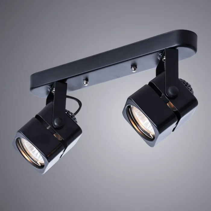 Спот Arte Lamp MISAM A1315PL-2BK | Дом Декора