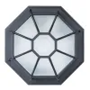 Уличный потолочный светильник Arte Lamp PEGASUS A3100PL-1BK | Дом Декора