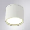 Уличный потолочный светильник Arte Lamp PIAUTOS A1913PF-1WH | Дом Декора