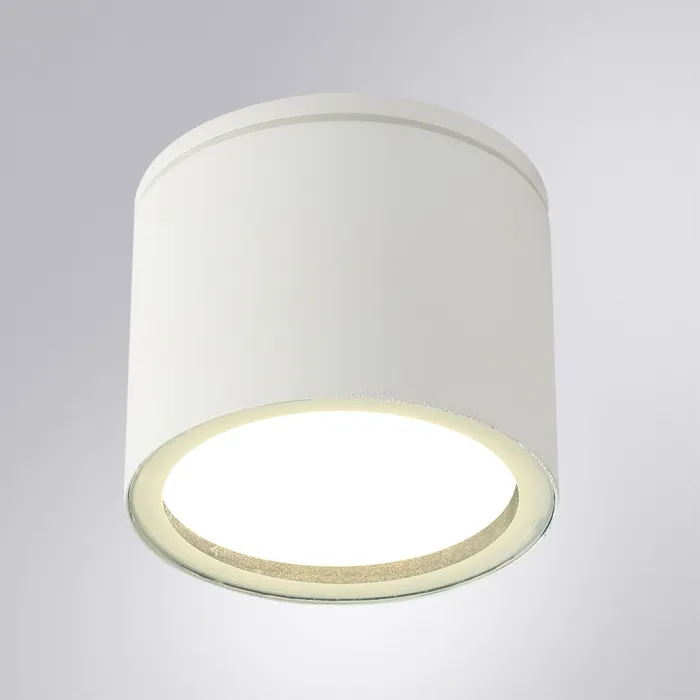 Уличный потолочный светильник Arte Lamp PIAUTOS A1913PF-1WH | Дом Декора
