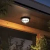 Уличный потолочный светильник Arte Lamp PEGASUS A3100PL-1BK | Дом Декора