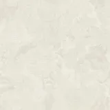 M69917