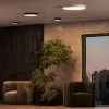 Потолочный светильник Arte Lamp FADO A7350PL-1BK | Дом Декора