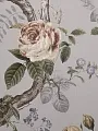 Обои Andrea Rossi Cavolli 54421-7