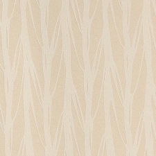 HG21 002