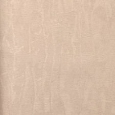 K18923D