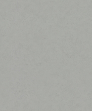36219